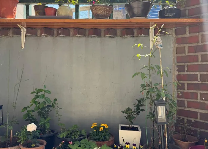 Hongdae Entire 3bed 5min To Subway & River 度假居