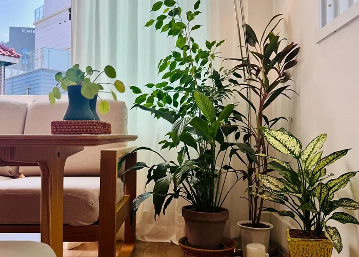 Ferienhaus Hongdae Homes - 5min To Subway & River Seoul