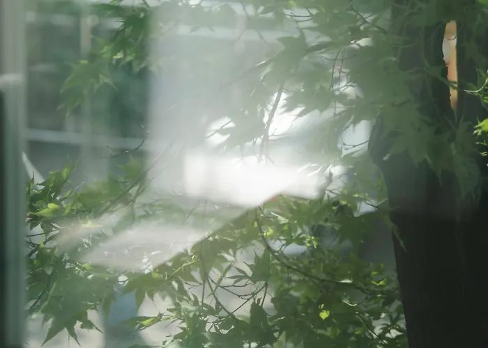 Hongdae Homes - 5min To Subway & River